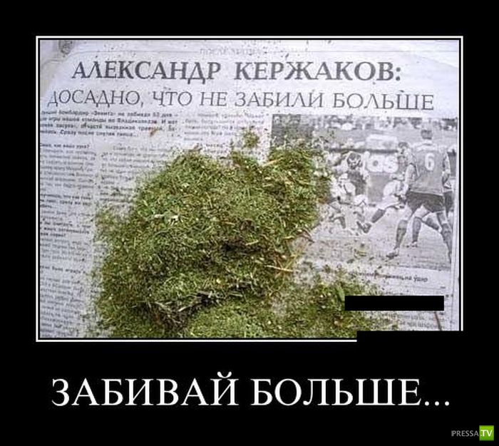 ������������ �� ����, ����� 7 (29 ����)