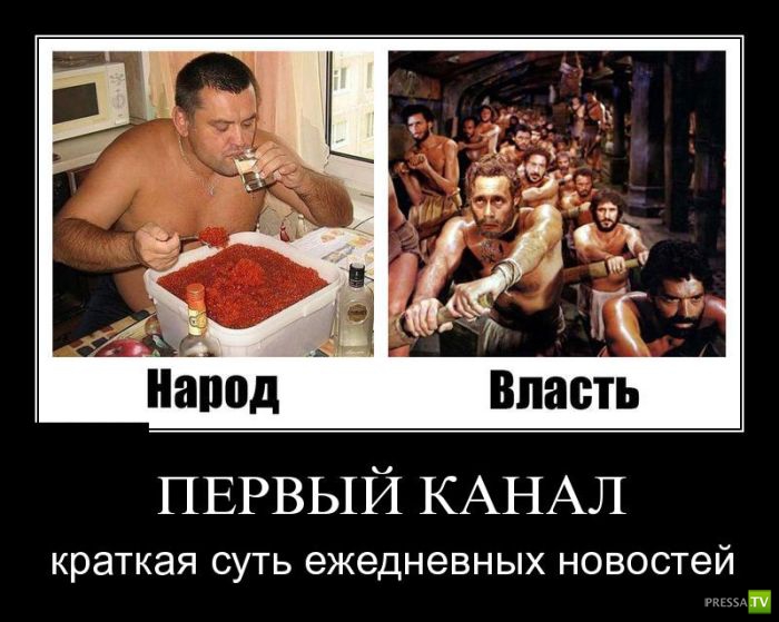 ������������ �� ����, ����� 7 (29 ����)