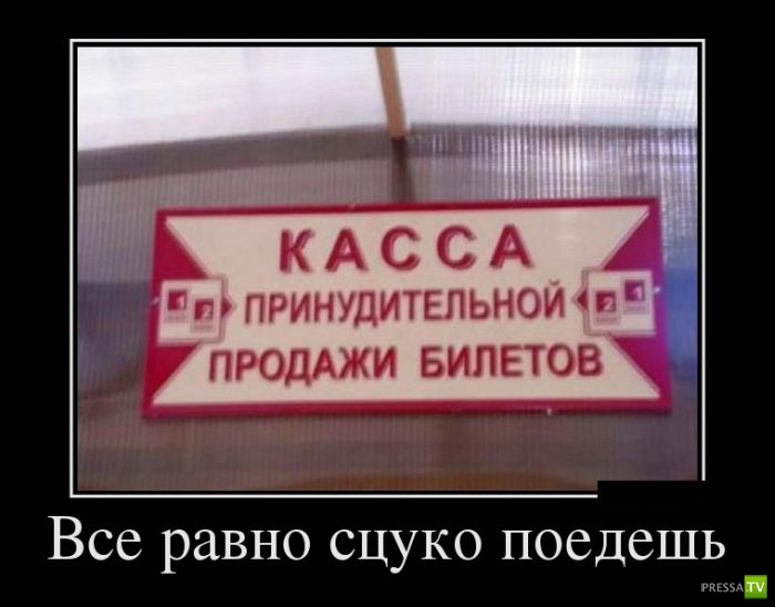 ������������ �� ����, ����� 7 (29 ����)