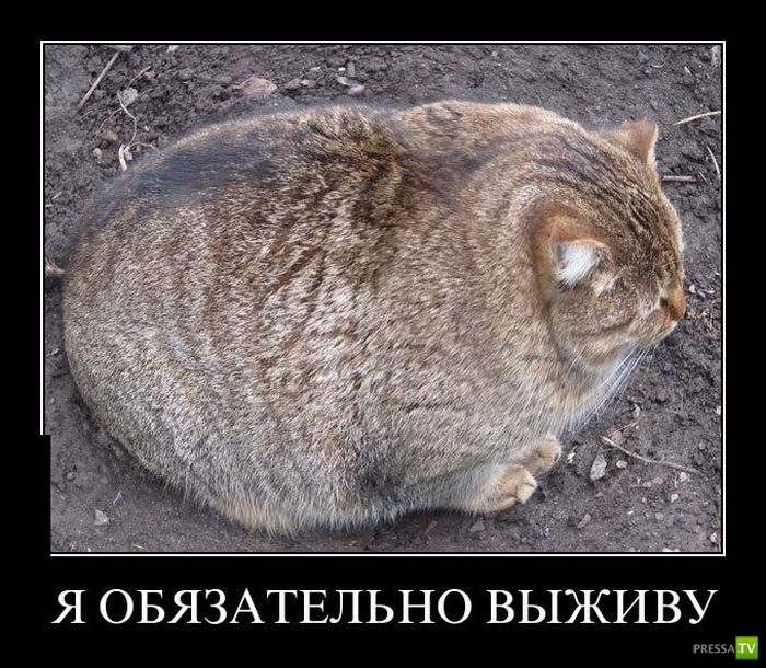 ������������ �� ����, ����� 7 (29 ����)