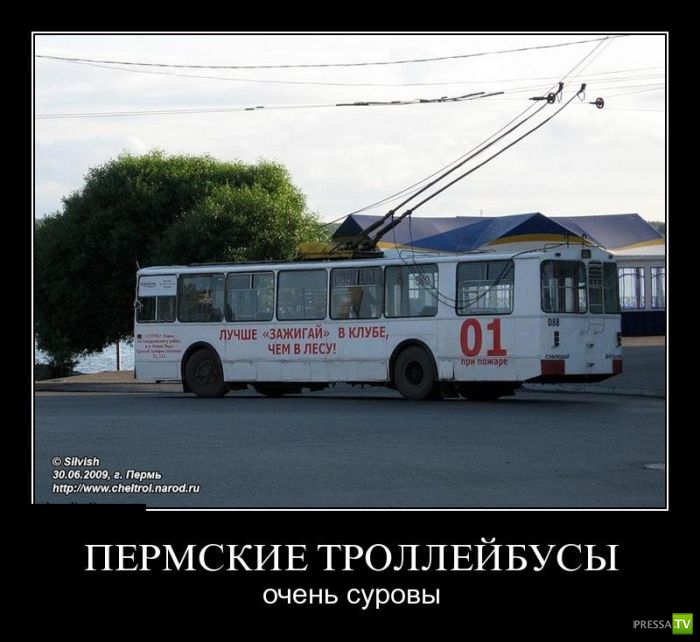 ������������ �� ����, ����� 7 (29 ����)