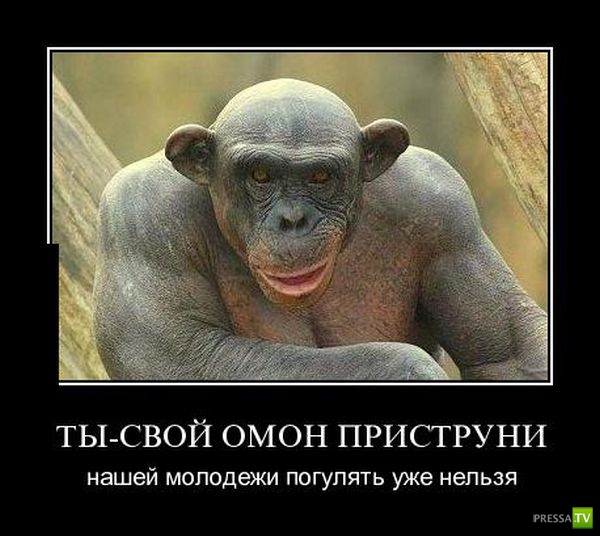 ������������ �� ����, ����� 7 (29 ����)