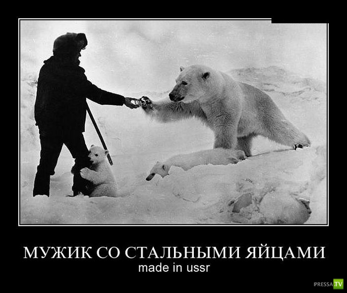 ������������ �� ����, ����� 7 (29 ����)