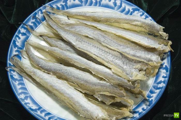 Рыбное мошенничество (13 фото) Рыбное мошенничество (13 фото)