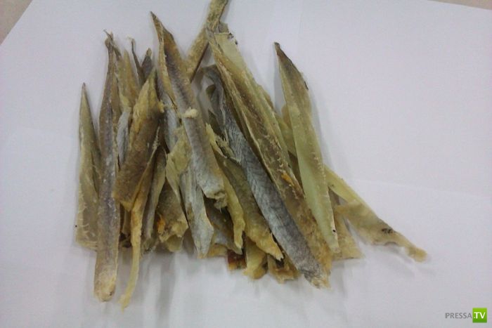 Рыбное мошенничество (13 фото) Рыбное мошенничество (13 фото)