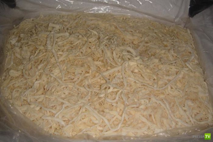 Рыбное мошенничество (13 фото) Рыбное мошенничество (13 фото)