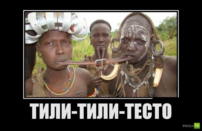 ������������ �� ����, ����� 8 (28 ����)