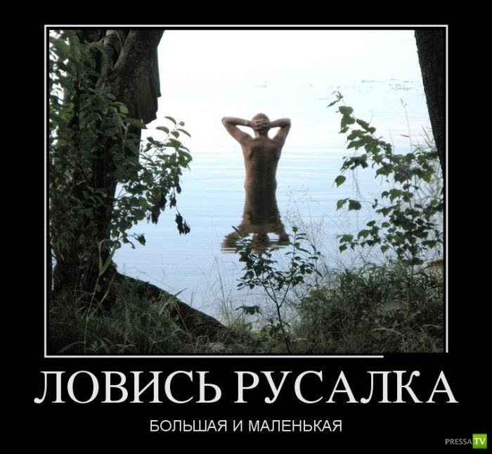 ������������ �� ����, ����� 8 (28 ����)