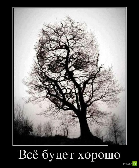 ������������ �� ����, ����� 8 (28 ����)