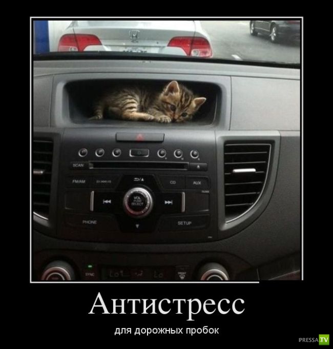 ������������ �� ����, ����� 8 (28 ����)