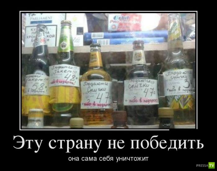 ������������ �� ����, ����� 8 (28 ����)