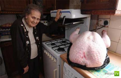 ��� ��-����������� (25 ����)