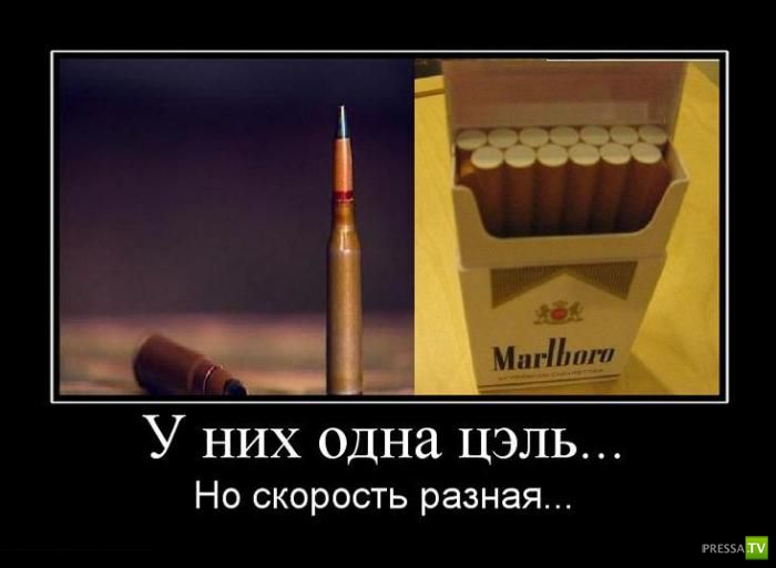 ������������ �� ����, ����� 9 (29 ����)