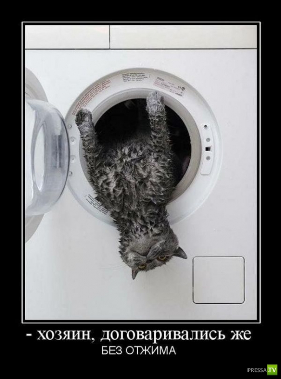 ������������ �� ����, ����� 9 (29 ����)