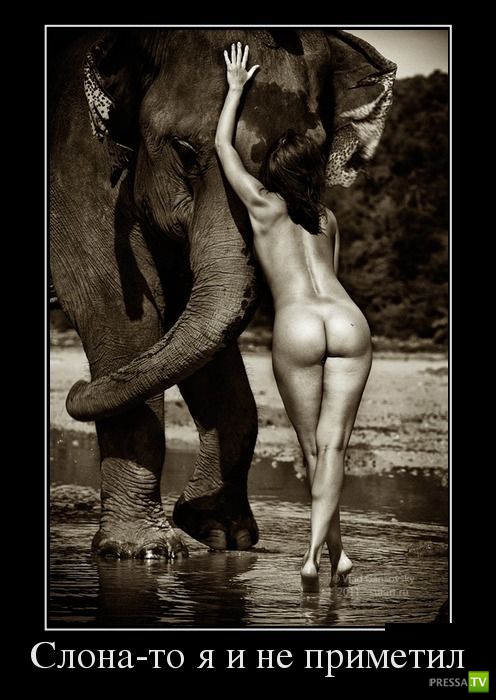 ������������ �� ����, ����� 9 (29 ����)