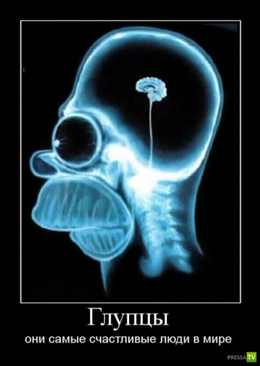 ������������ �� ����, ����� 9 (29 ����)