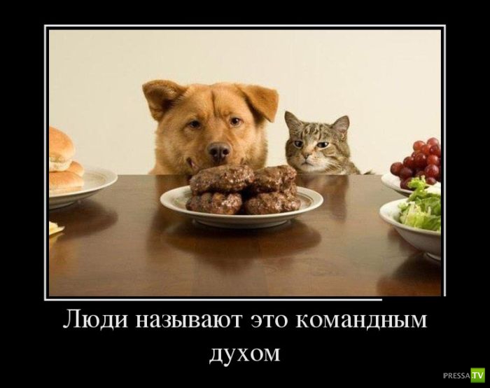 ������������ �� ����, ����� 9 (29 ����)