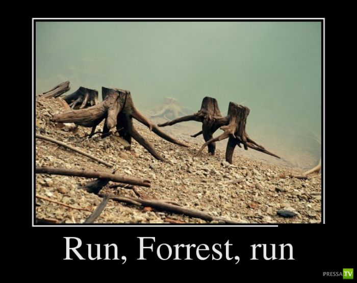 ������������ �� ����, ����� 10 (29 ����)