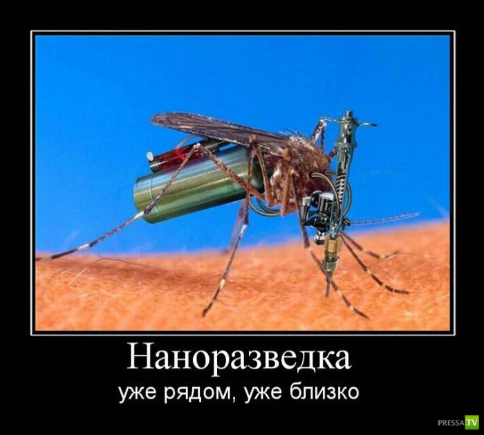 ������������ �� ����, ����� 10 (29 ����)