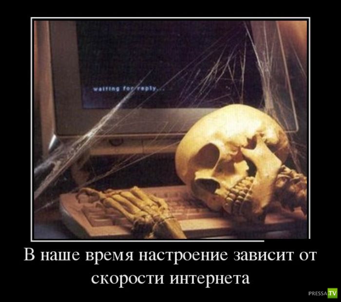 ������������ �� ����, ����� 10 (29 ����)