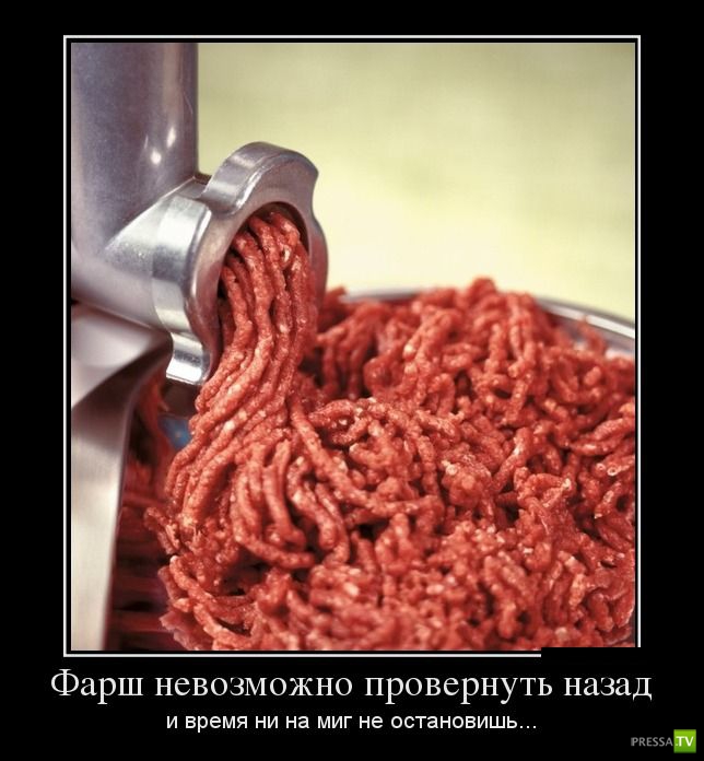 ������������ �� ����, ����� 11 (31 ����)