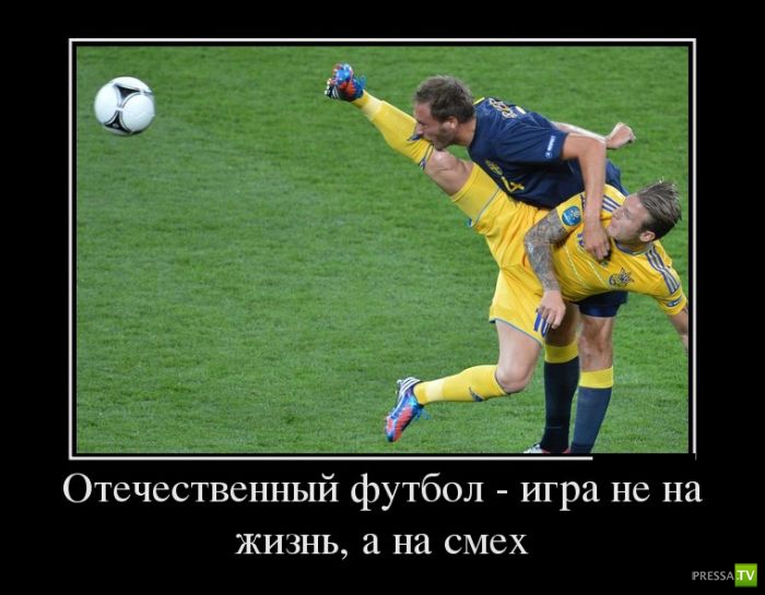 ������������ �� ����, ����� 11 (31 ����)