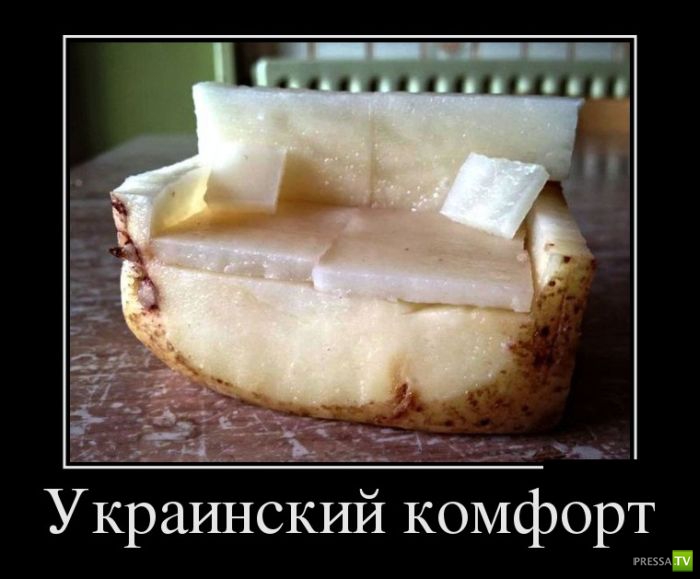 ������������ �� ����, ����� 11 (31 ����)