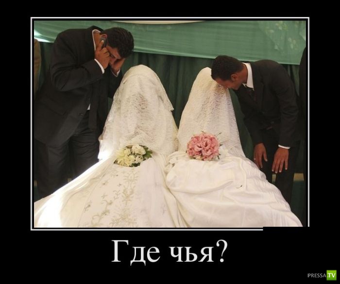 ������������ �� ����, ����� 11 (31 ����)