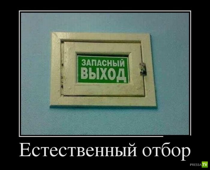 ������������ �� ����, ����� 11 (31 ����)