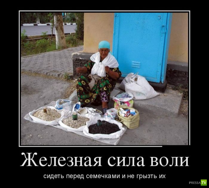 ������������ �� ����, ����� 11 (31 ����)