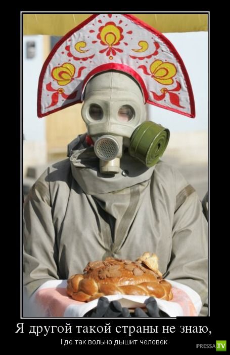 ������������ �� ����, ����� 11 (31 ����)