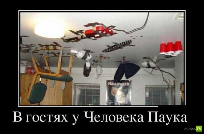 ������������ �� ����, ����� 11 (31 ����)