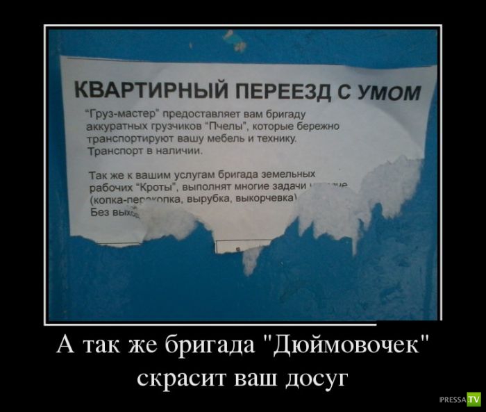 ������������ �� ����, ����� 11 (31 ����)