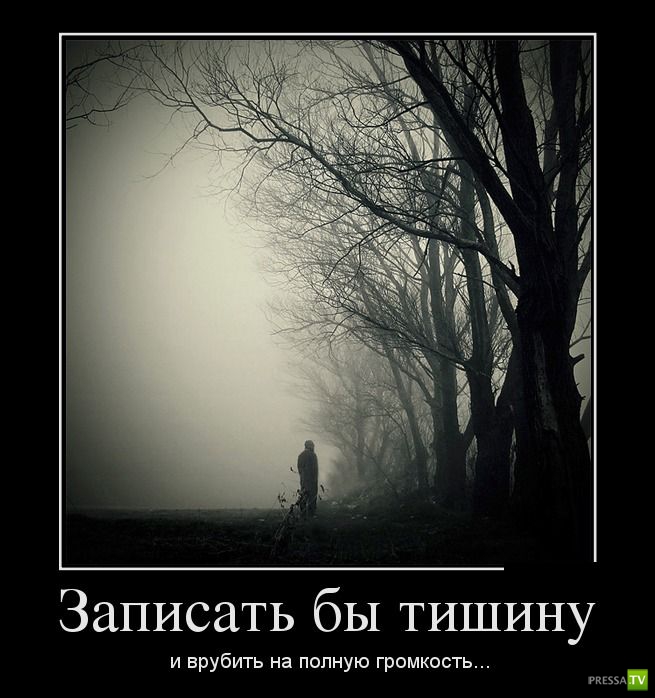 ������������ �� ����, ����� 11 (31 ����)