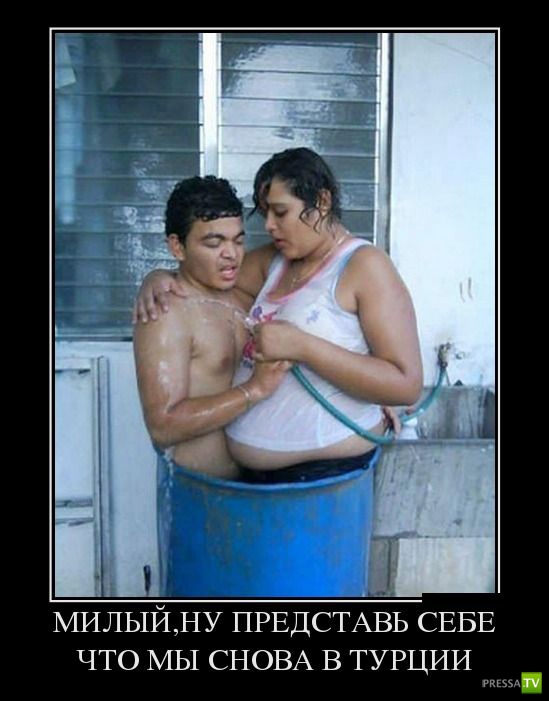 ������������ �� ����, ����� 11 (31 ����)