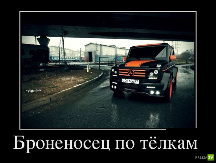 ������������ �� ����, ����� 11 (31 ����)