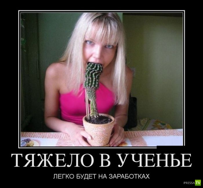 ������������ �� ����, ����� 11 (31 ����)