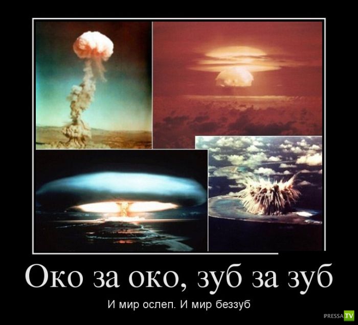 ������������ �� ����, ����� 11 (31 ����)