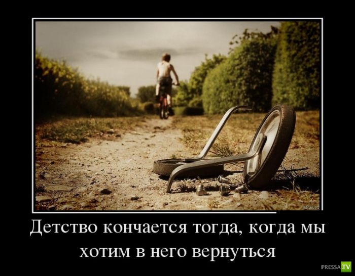 ������������ �� ����, ����� 11 (31 ����)