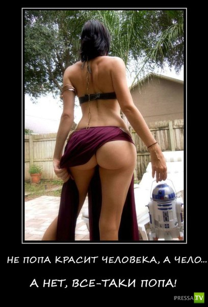 ������������ �� ����, ����� 12 (31 ����)