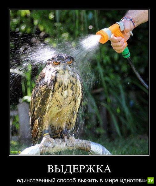 ������������ �� ����, ����� 12 (31 ����)