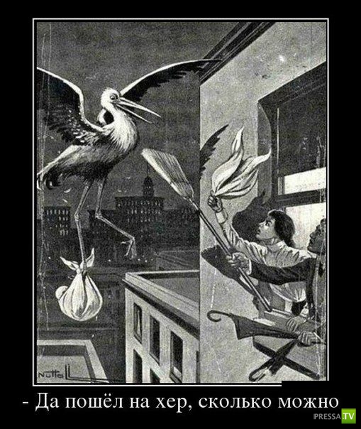 ������������ �� ����, ����� 12 (31 ����)