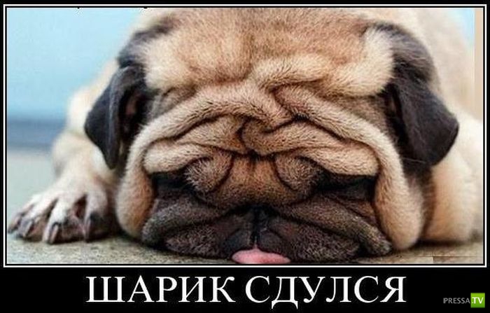 ������������ �� ����, ����� 12 (31 ����)