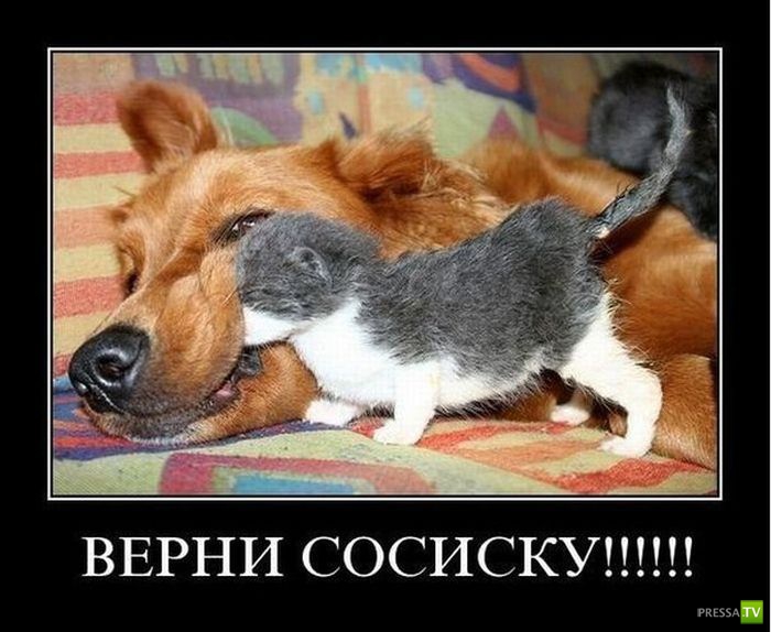 ������������ �� ����, ����� 12 (31 ����)