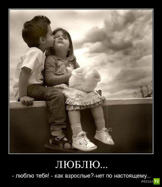 ������������ �� ����, ����� 12 (31 ����)