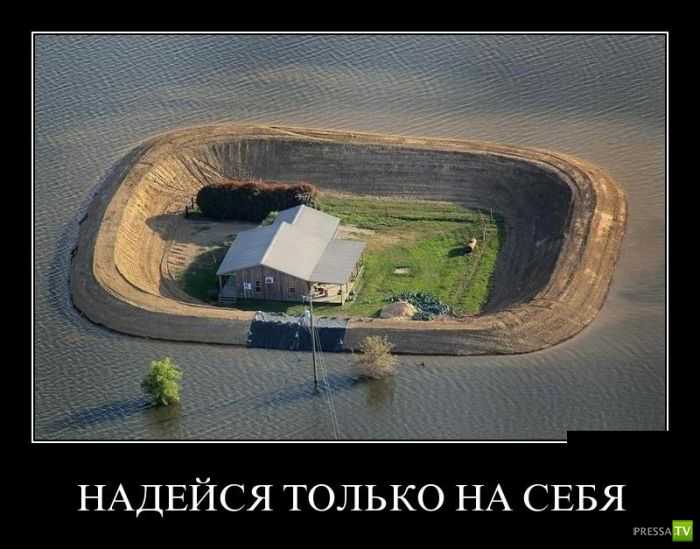 ������������ �� ����, ����� 12 (31 ����)