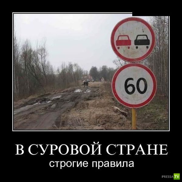 ������������ �� ����, ����� 12 (31 ����)