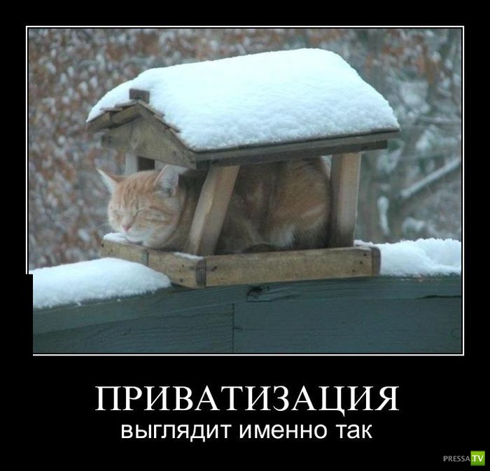 ������������ �� ����, ����� 12 (31 ����)