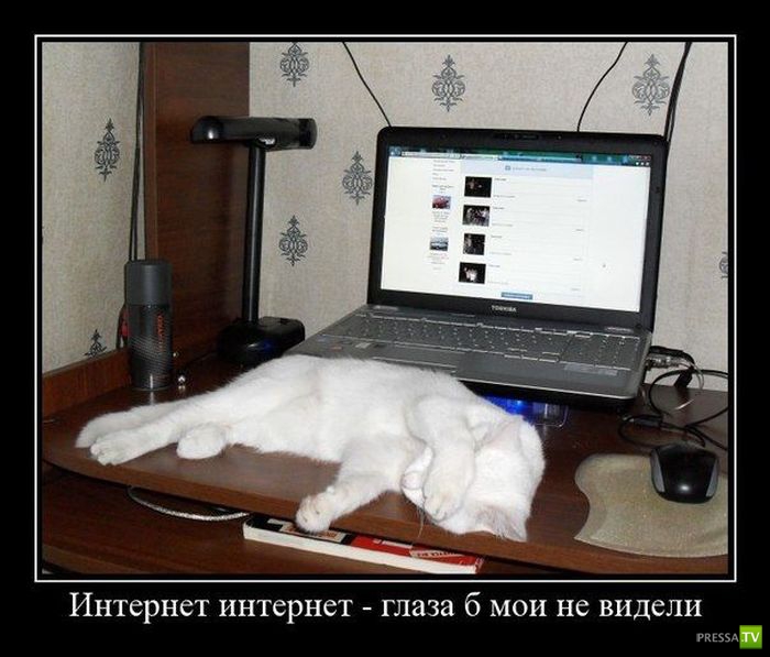 ������������ �� ����, ����� 12 (31 ����)