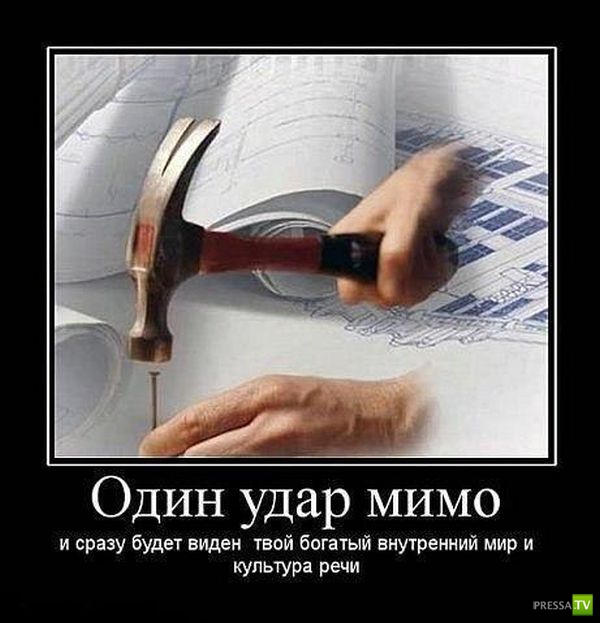 ������������ �� ����, ����� 12 (31 ����)